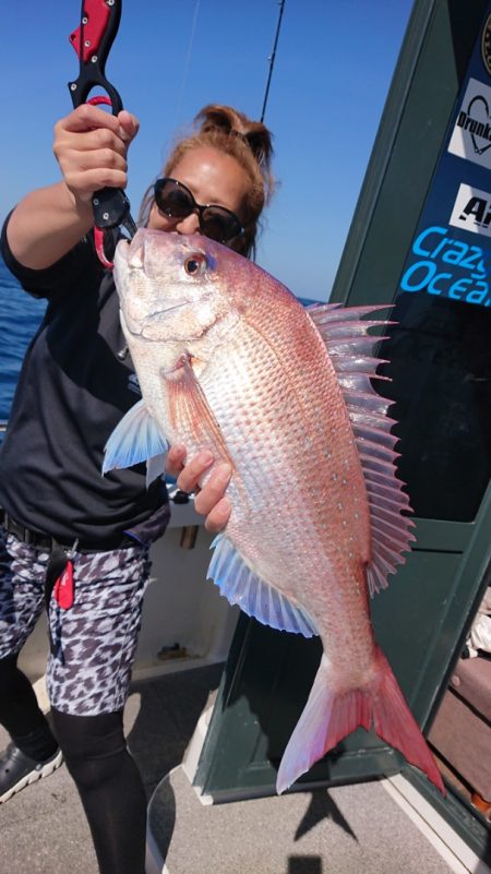 ARCADIAⅡ (アルカディアⅡ) 釣果