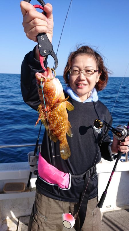 ARCADIAⅡ (アルカディアⅡ) 釣果