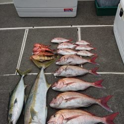 ARCADIAⅡ (アルカディアⅡ) 釣果