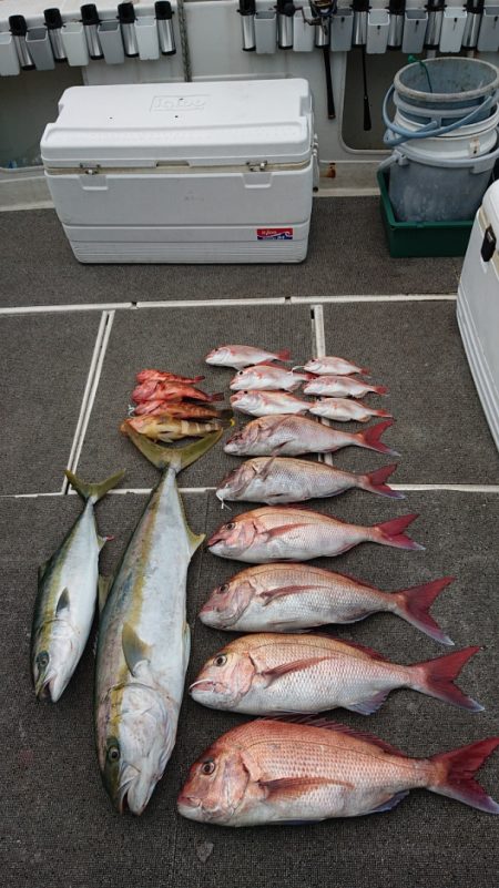 ARCADIAⅡ (アルカディアⅡ) 釣果