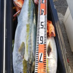 第二龍勢丸 釣果