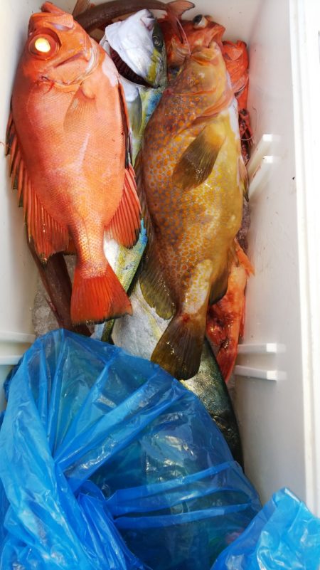 第二龍勢丸 釣果