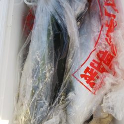 第二龍勢丸 釣果