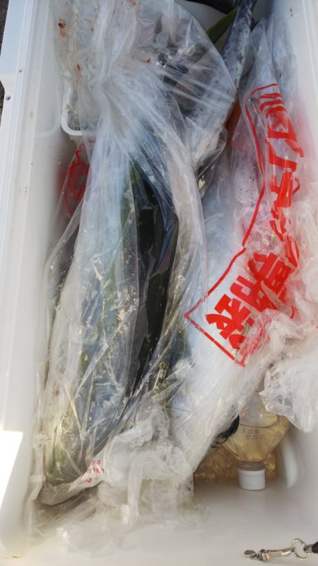 第二龍勢丸 釣果