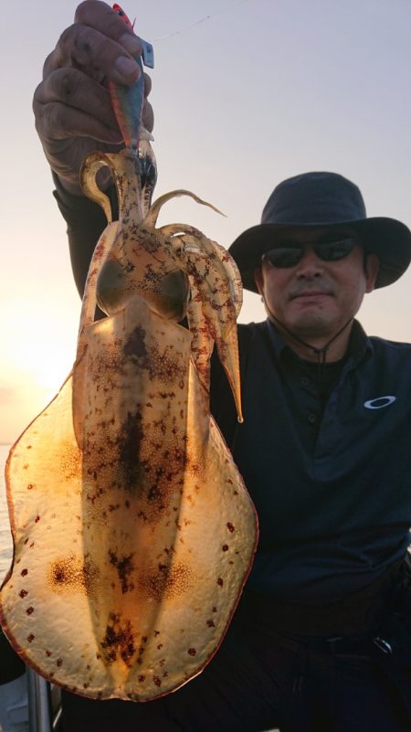 シースナイパー海龍 釣果