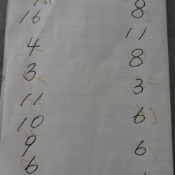 金沢八景鴨下丸 釣果