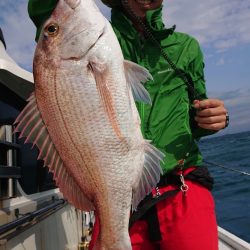 だて丸 釣果
