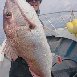 だて丸 釣果