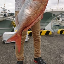 だて丸 釣果