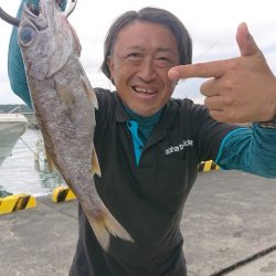 だて丸 釣果