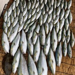 釣人家 釣果