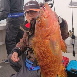 ARCADIAⅡ （アルカディアⅡ） 釣果