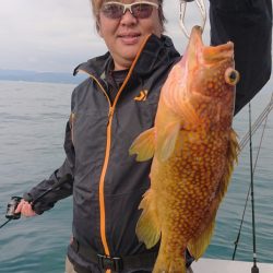 ARCADIAⅡ （アルカディアⅡ） 釣果