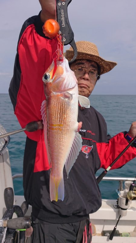 ARCADIAⅡ （アルカディアⅡ） 釣果