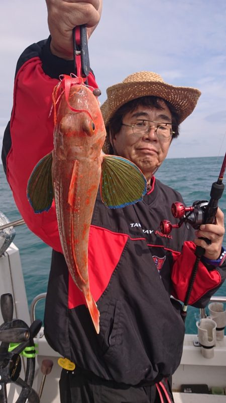 ARCADIAⅡ （アルカディアⅡ） 釣果