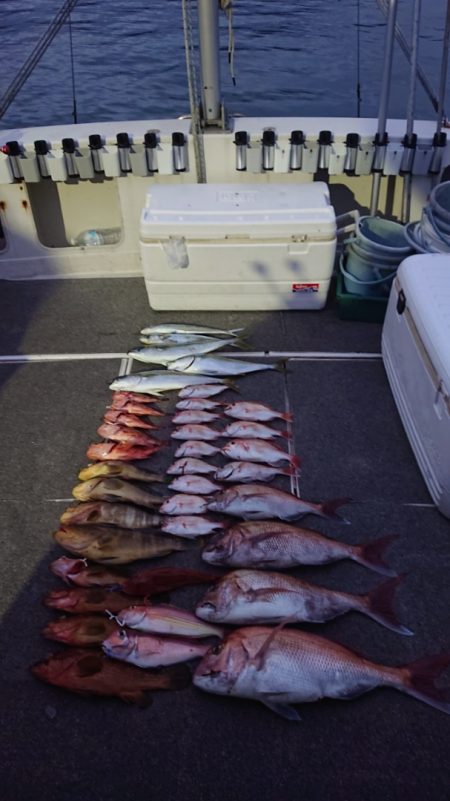 ARCADIAⅡ （アルカディアⅡ） 釣果