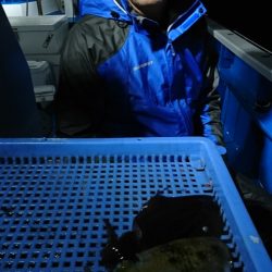 第三共栄丸 釣果