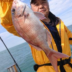 だて丸 釣果