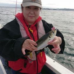 金沢八景鴨下丸 釣果