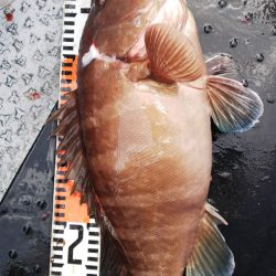 第二龍勢丸 釣果