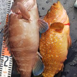 第二龍勢丸 釣果