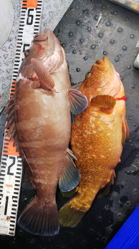 第二龍勢丸 釣果