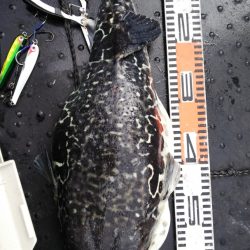 第二龍勢丸 釣果