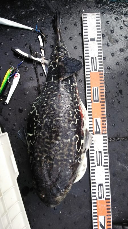 第二龍勢丸 釣果