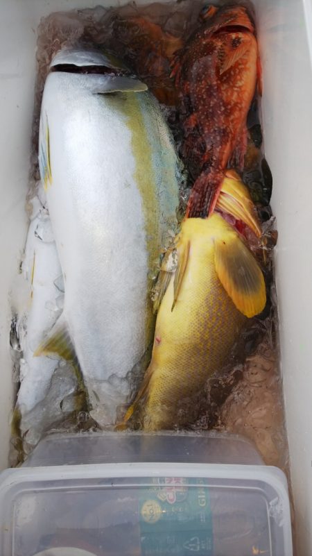 第二龍勢丸 釣果