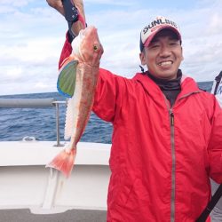 ARCADIAⅡ (アルカディアⅡ) 釣果