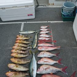 ARCADIAⅡ (アルカディアⅡ) 釣果