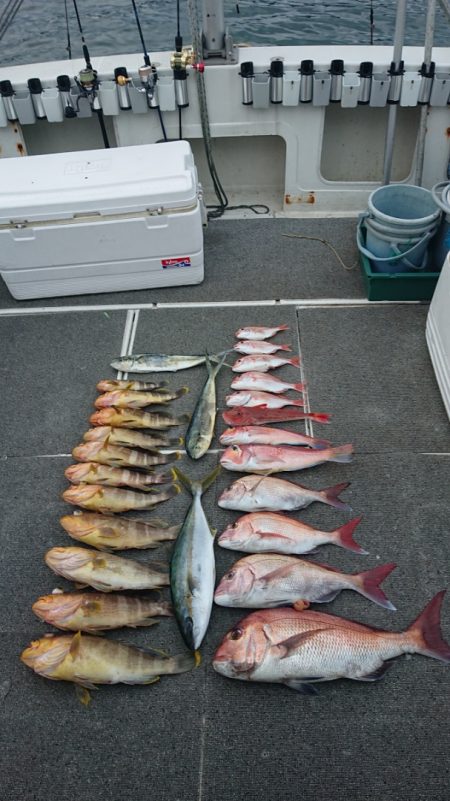 ARCADIAⅡ (アルカディアⅡ) 釣果