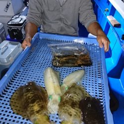 第三共栄丸 釣果