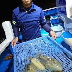 第三共栄丸 釣果