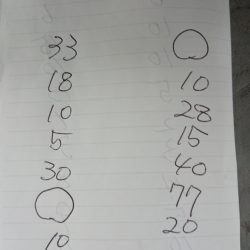 金沢八景鴨下丸 釣果