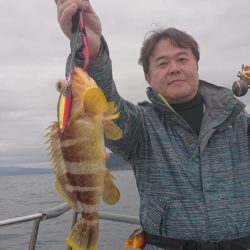 ARCADIAⅡ (アルカディアⅡ) 釣果