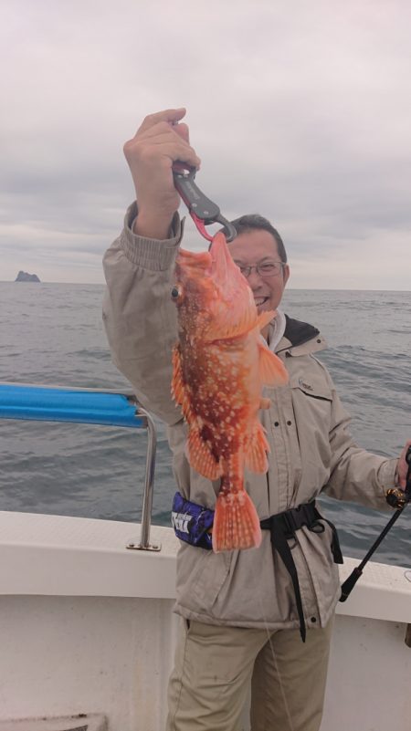 ARCADIAⅡ (アルカディアⅡ) 釣果