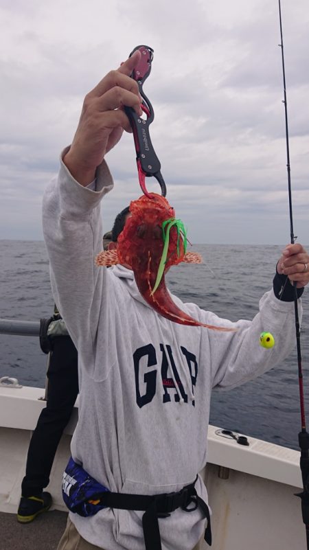 ARCADIAⅡ (アルカディアⅡ) 釣果