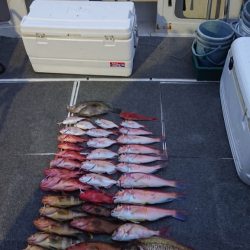 ARCADIAⅡ (アルカディアⅡ) 釣果