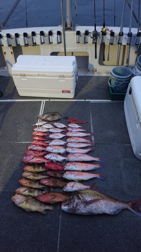 ARCADIAⅡ (アルカディアⅡ) 釣果