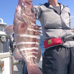 だて丸 釣果