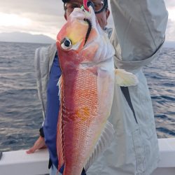 ARCADIAⅡ (アルカディアⅡ) 釣果