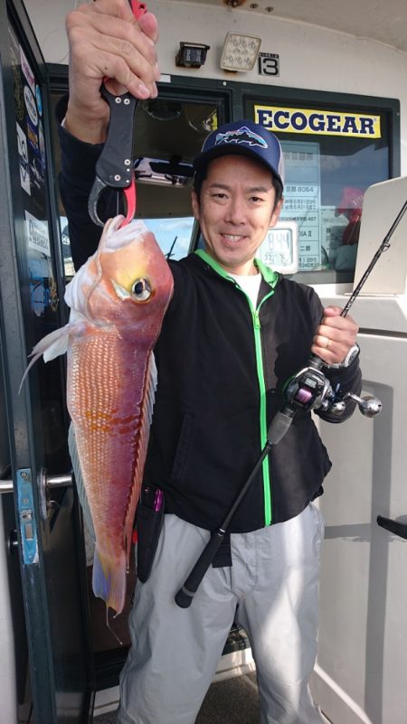 ARCADIAⅡ (アルカディアⅡ) 釣果