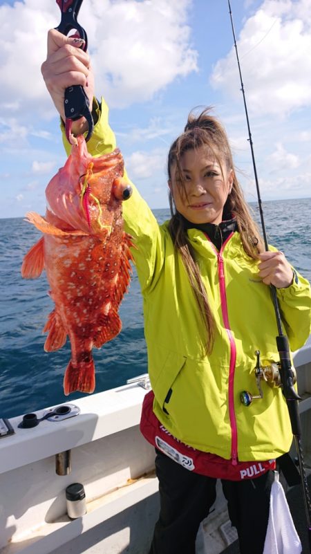 ARCADIAⅡ (アルカディアⅡ) 釣果