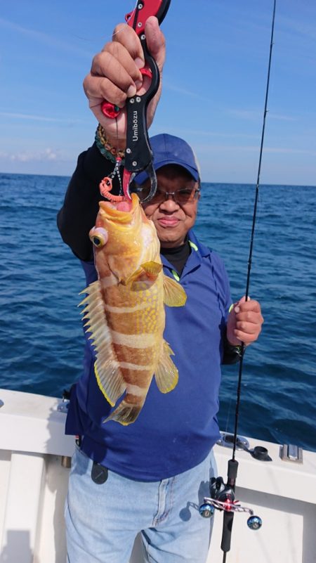 ARCADIAⅡ (アルカディアⅡ) 釣果