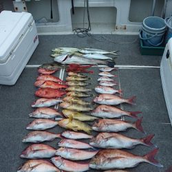 ARCADIAⅡ (アルカディアⅡ) 釣果