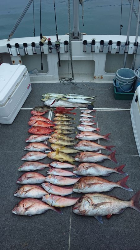 ARCADIAⅡ (アルカディアⅡ) 釣果