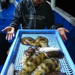 第三共栄丸 釣果