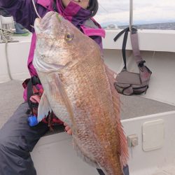 ARCADIAⅡ （アルカディアⅡ） 釣果