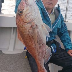 ARCADIAⅡ （アルカディアⅡ） 釣果